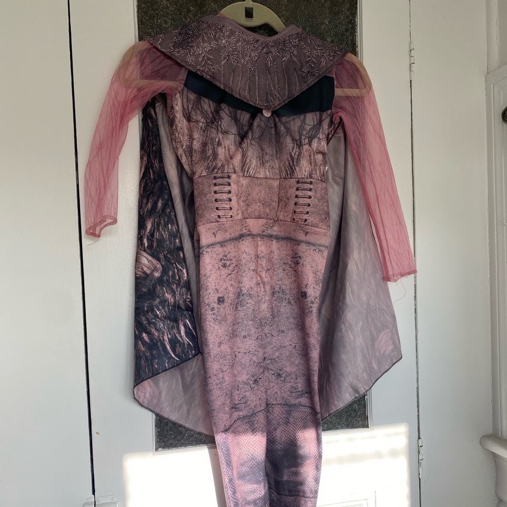 Evie Disney Descendants Costume